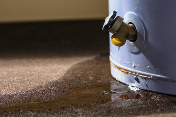  Big Lake, TX Water damage restoration Pros