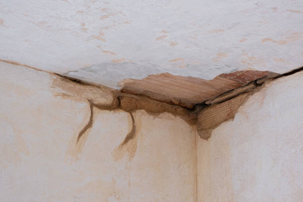 Best Sewage cleanup and water damage restoration  in Big Lake, TX