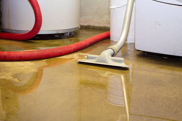 Best Local water damage restoration  in Big Lake, TX