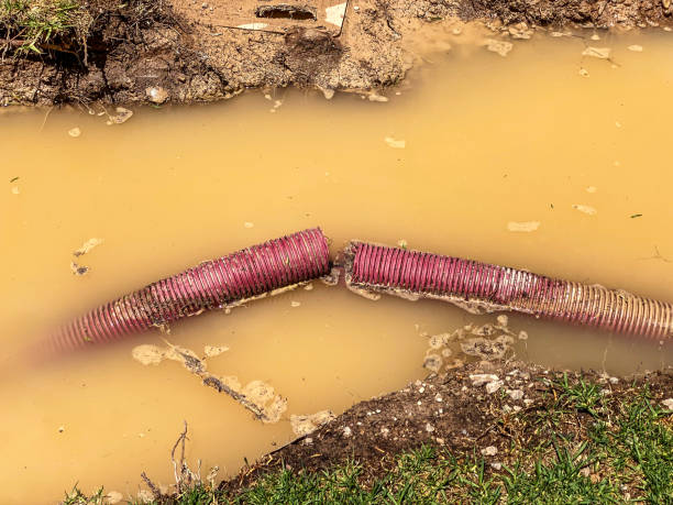 Best Water damage cleanup near me  in Big Lake, TX