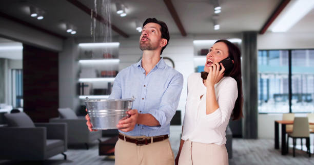 Best Local water damage restoration  in Big Lake, TX