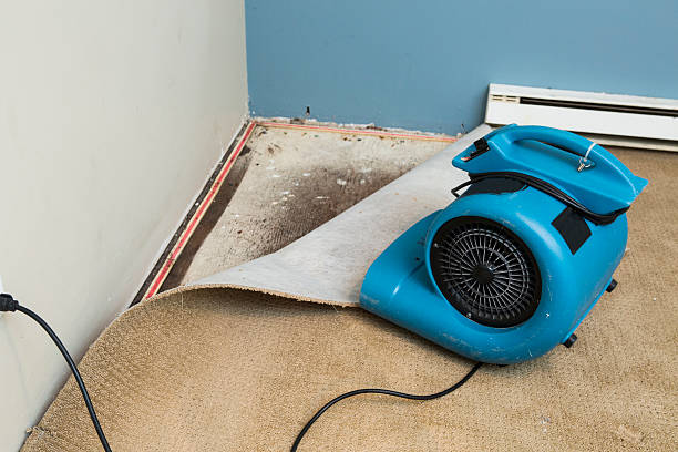 Best 24-hour water damage restoration  in Big Lake, TX